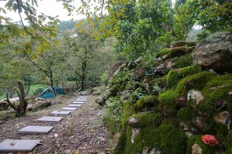 Trải nghiệm trekking tại núi Đại Huệ Nghệ An cùng thiên nhiên hùng vĩ