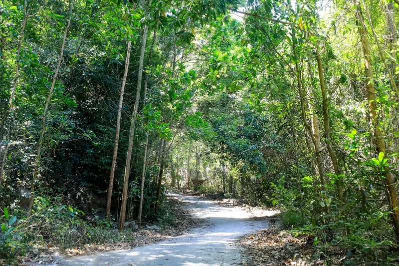Tìm về chốn bình yên tại chùa Hang Mai núi Dinh