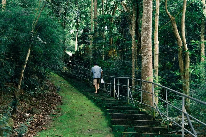 Cùng hội bạn trải nghiệm hành trình phượt núi Dinh