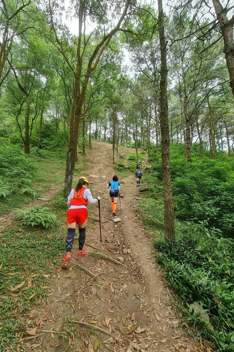 Trải nghiệm thiên nhiên hoang sơ tại núi Hàm Lợn