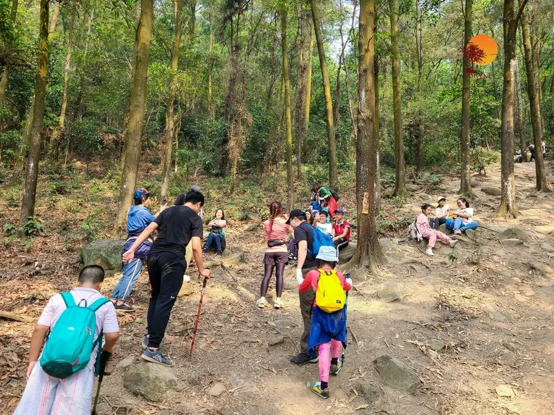 Khám phá địa điểm check in hot nhất Sóc Sơn núi Hàm Lợn Sóc Sơn