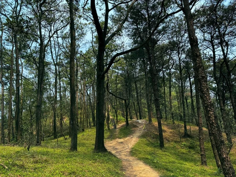 Trốn phố về với thiên nhiên tại khu du lịch núi Hàm Lợn