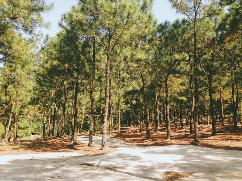 Bí kíp chinh phục độ cao cùng kinh nghiệm leo núi Hàm Lợn