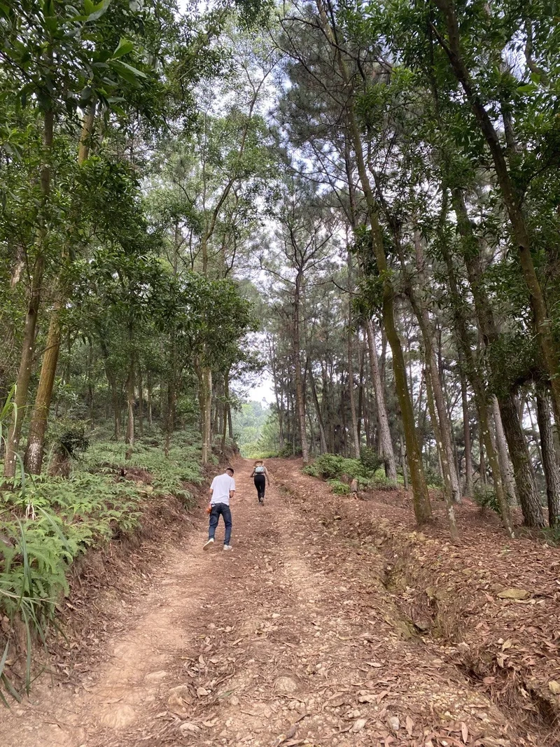 Trải nghiệm thử thách cùng bạn bè với leo núi Hàm Lợn