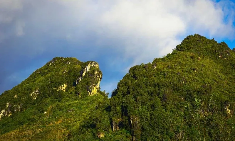 Khám phá thiên đường hoa tại khu du lịch Hàm Rồng