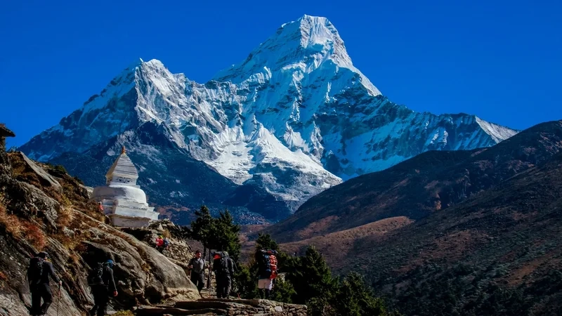 Khám phá vẻ đẹp bí ẩn của himalayan forest