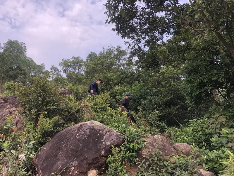 Bạn có biết núi hòn vượn cao bao nhiêu không