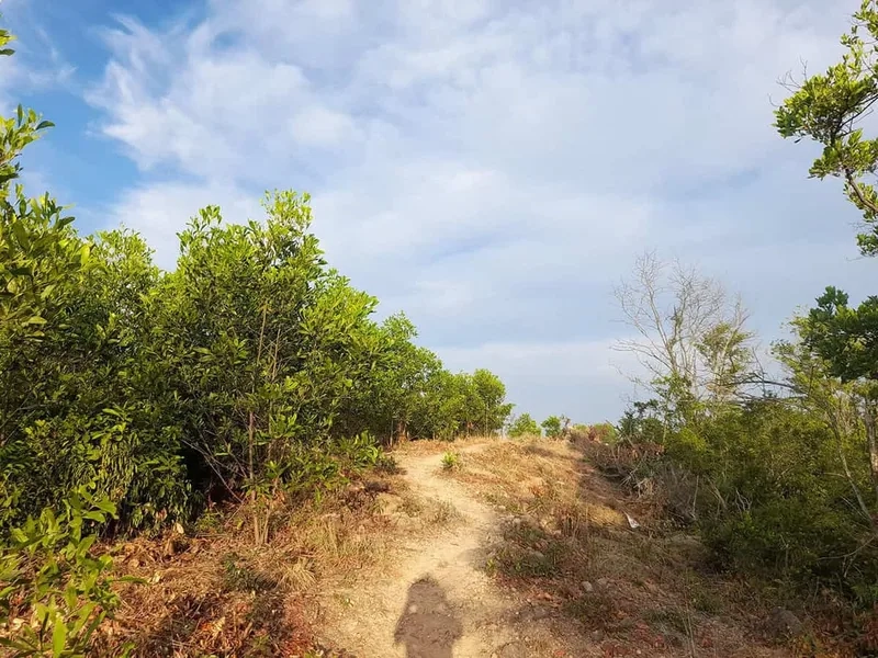 Thử sức với trekking núi hòn vượn cuối tuần này