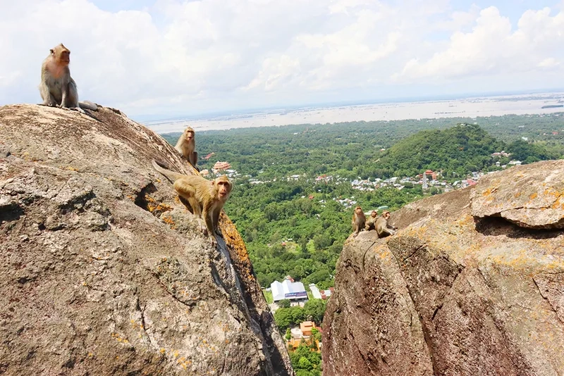Bộ sưu tập ảnh đẹp về hình ảnh của núi khỉ