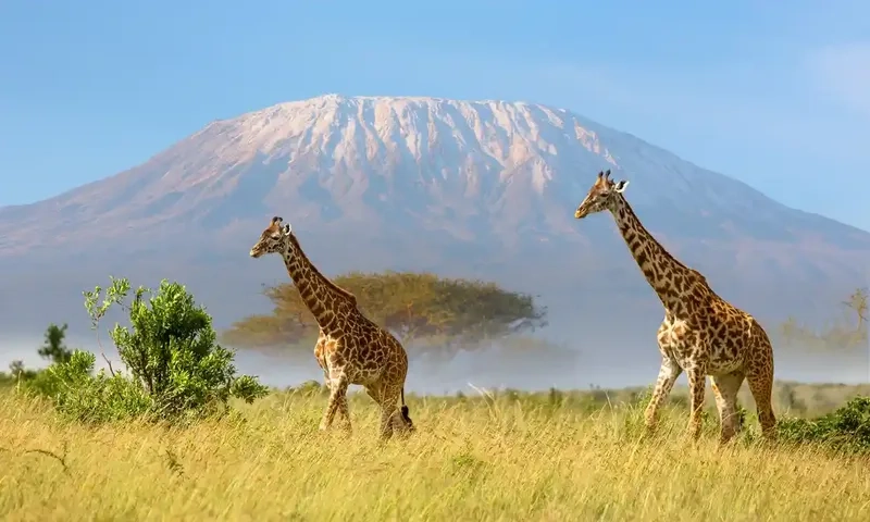 Giới thiệu đôi nét về núi Kilimanjaro 