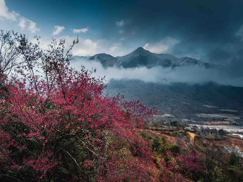 Chinh phục thử thách leo núi Lùng Cúng