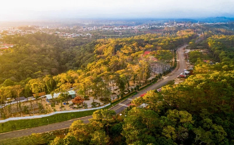 Tham gia du lịch núi măng đen và tận hưởng cảnh rừng nguyên sinh