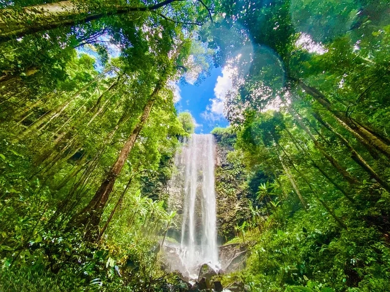 Thử sức với hành trình leo núi măng đen cho trải nghiệm khó quên