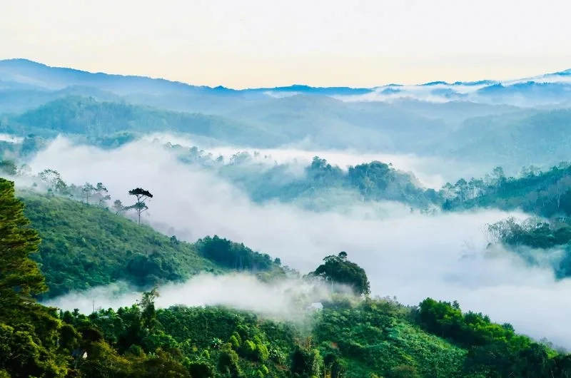 Khám phá núi măng đen cao bao nhiêu mét để chuẩn bị trang bị đầy đủ