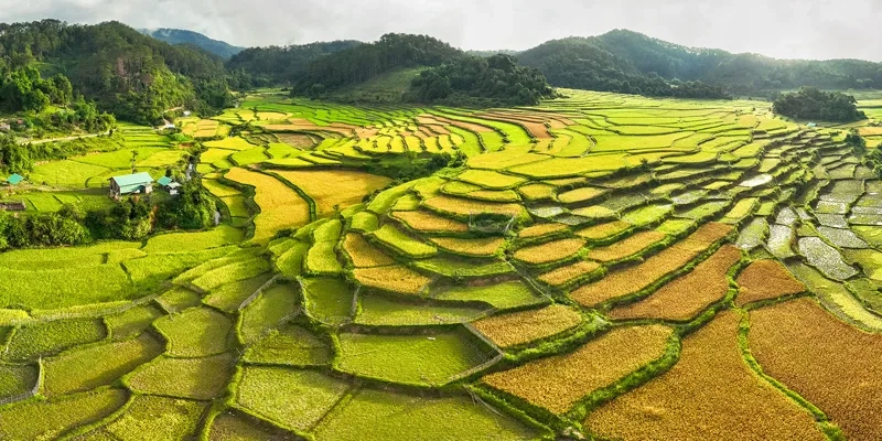 Khám phá núi rừng măng đen nơi hòa mình với thiên nhiên