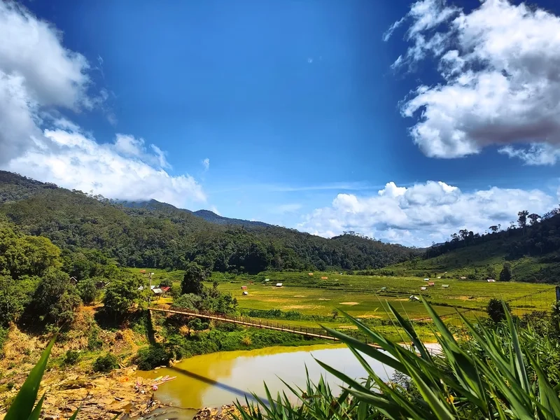 Kết nối với thiên nhiên qua du lịch núi măng đen hấp dẫn