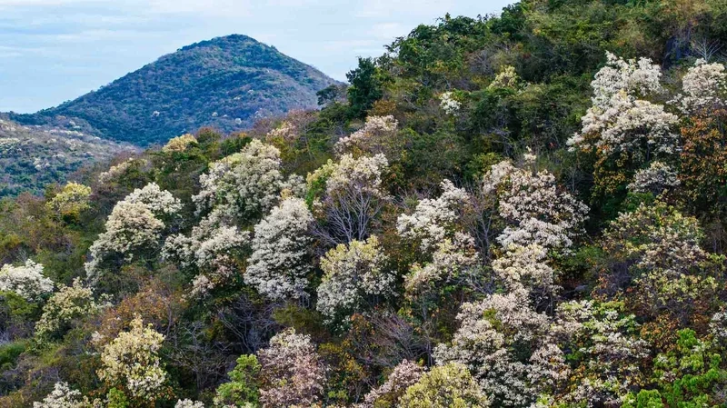 Khám phá vẻ đẹp hoang sơ tại núi Minh Đạm