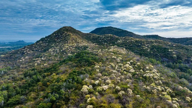 Trải nghiệm lịch sử hào hùng ở khu di tích núi Minh Đạm