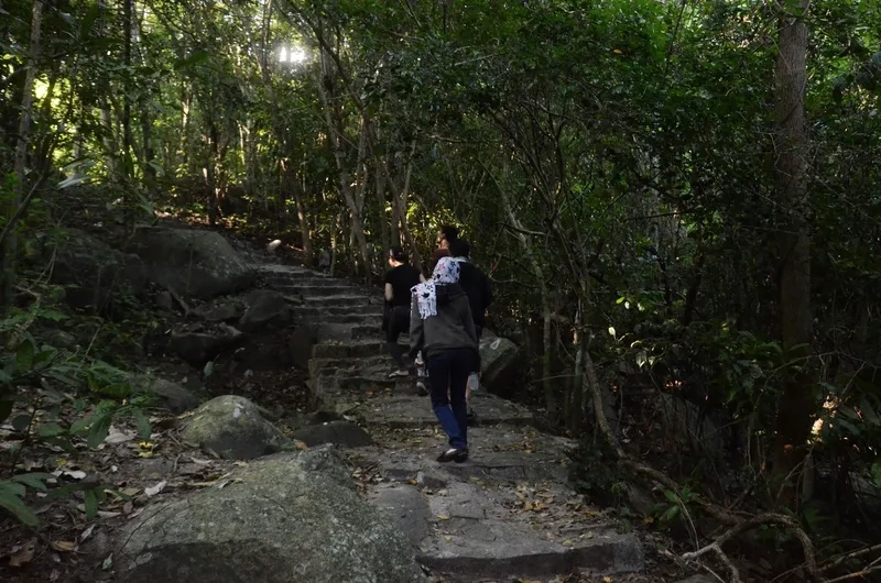 Bộ sưu tập tuyệt đẹp từ hình ảnh núi Minh Đạm