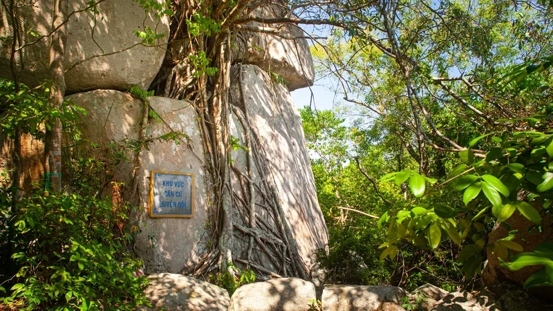 Hành trình trải nghiệm thực tế khi tham quan núi Minh Đạm