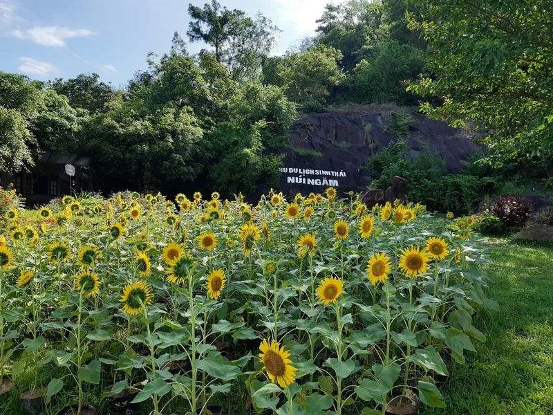 Thưởng ngoạn thiên nhiên và cảnh đẹp tại khu du lịch núi Ngăm