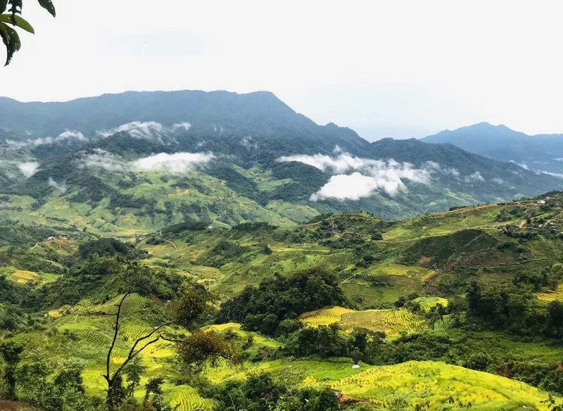 Chinh phục đỉnh Ngọc Linh nóc nhà miền Trung