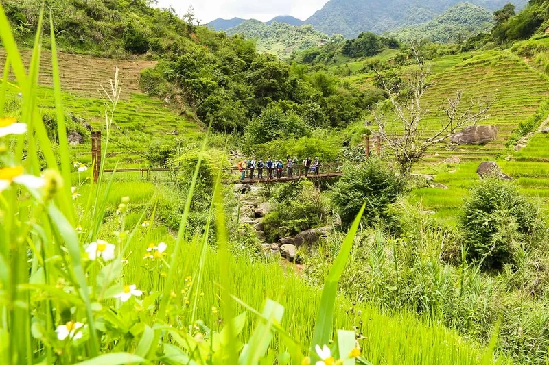 Hướng dẫn đường đi Ngọc Linh an toàn