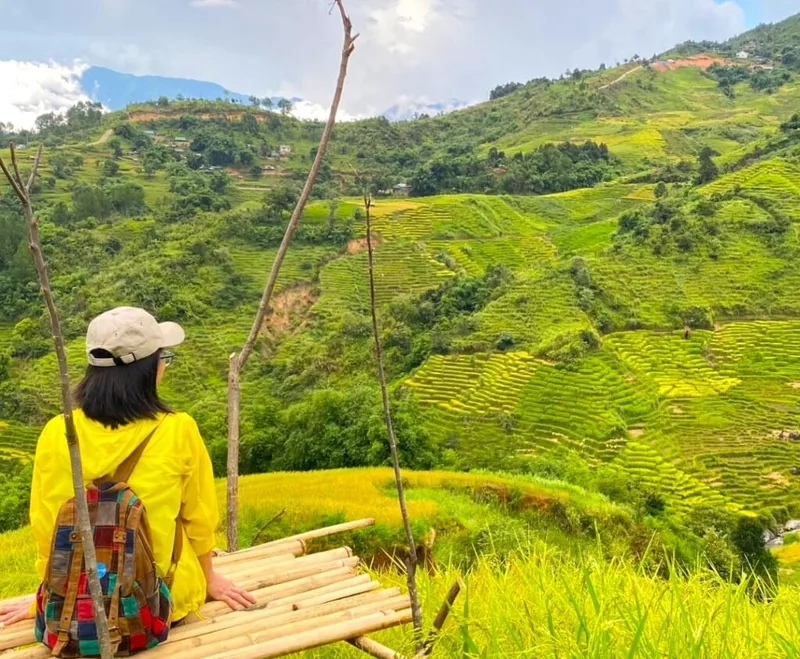 Chia sẻ kinh nghiệm leo Ngọc Linh từ A-Z