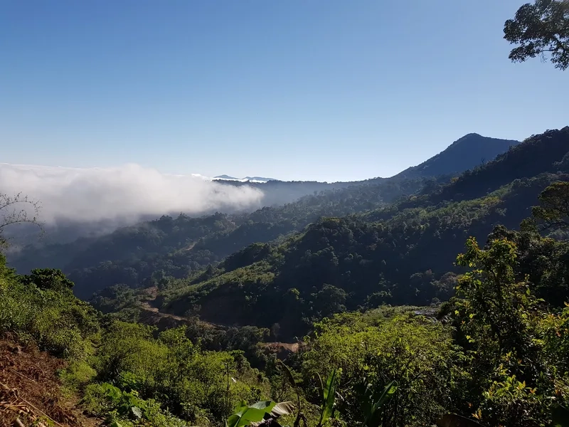 Giới thiệu đôi nét về núi Ngọc Linh 