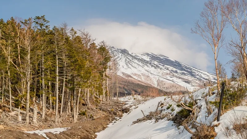 Bạn có biết núi Phú Sĩ cao bao nhiêu không