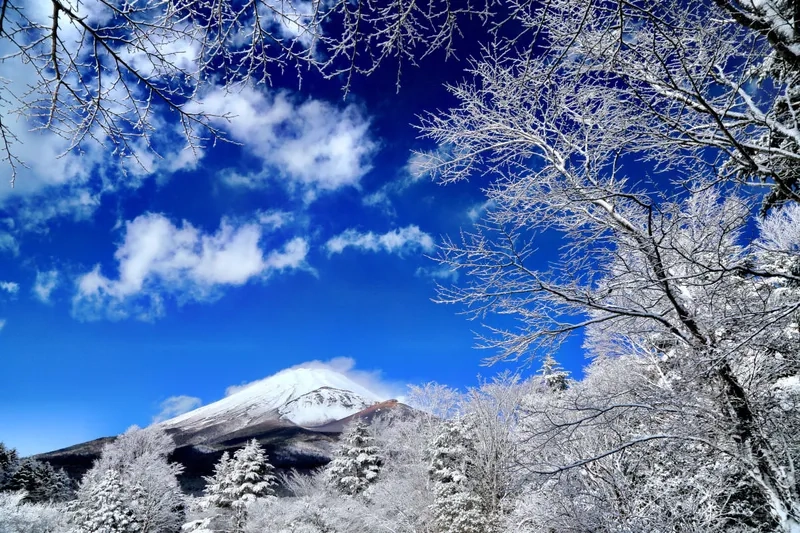 Trải nghiệm tuyết trắng ở núi Phú Sĩ mùa đông