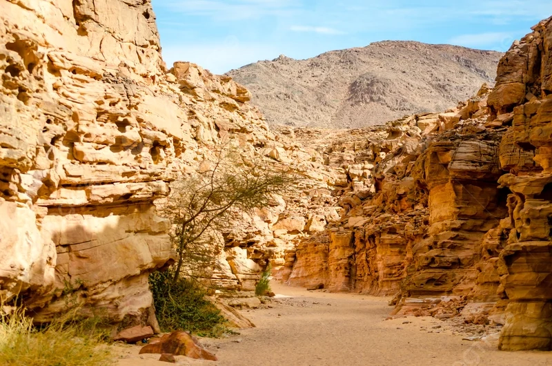 Đắm chìm trước cảnh đẹp Sinai giữa trời đất linh thiêng