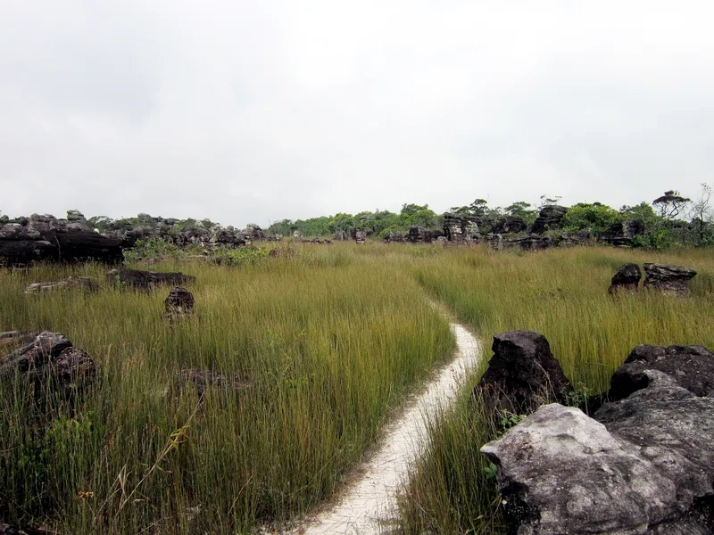 Trải nghiệm chuyến đi tuyệt vời đến núi Tà Lơn An Giang