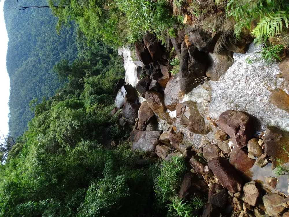 Tham quan và khám phá tham quan núi Tà Lơn hấp dẫn