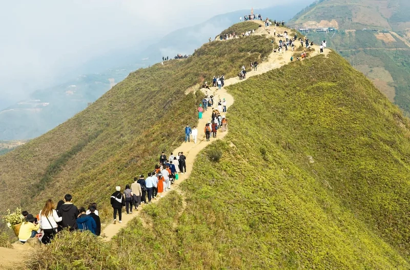 Trải nghiệm tuyệt vời với Tour Tà Xùa hấp dẫn