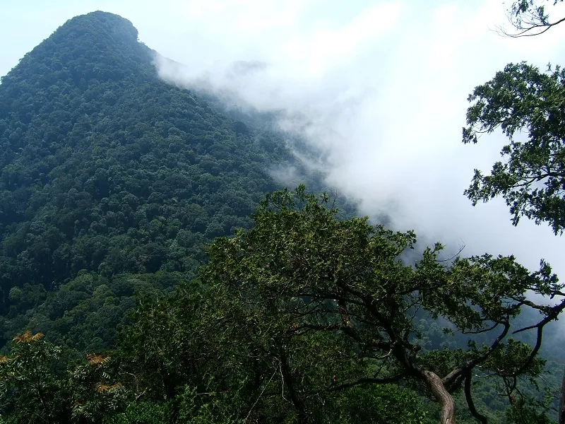 Ghi dấu ấn với check in Tản Viên siêu hot