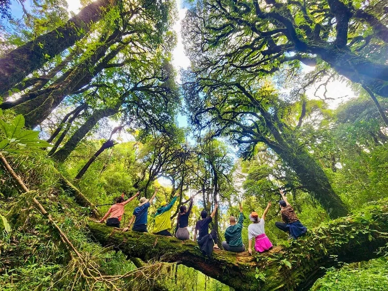 Khám phá núi Tây Côn Lĩnh Hà Giang nơi thiên nhiên hoang sơ tuyệt đẹp