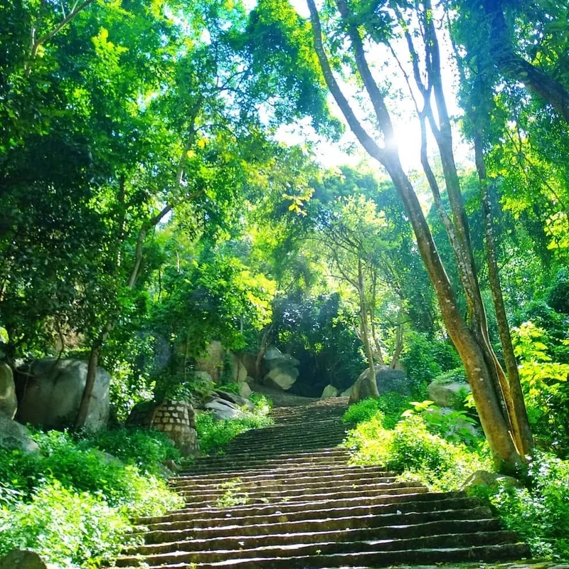 Đắm chìm trong thiên nhiên qua cảnh đẹp núi Thị Vải