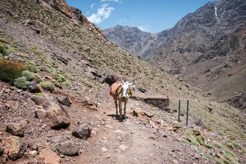 Khám phá vẻ đẹp hùng vĩ của hình ảnh Toubkal