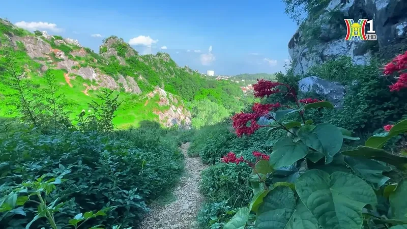 Thử thách bản thân cùng leo núi Trầm ngay hôm nay