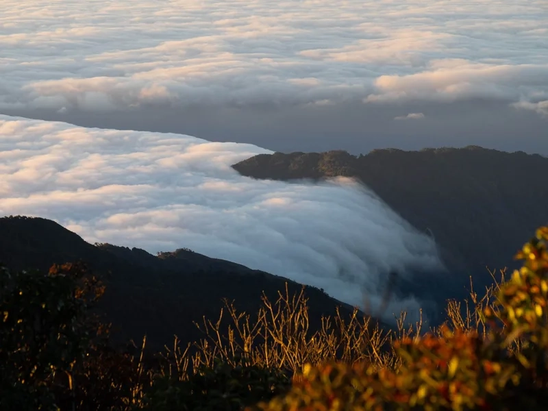 Chinh phục đỉnh Núi U Bò độ cao bao nhiêu