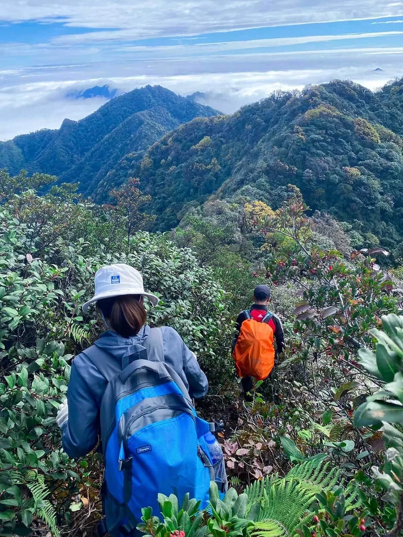 Khám phá Núi U Bò ở Quảng Bình mùa nào đẹp