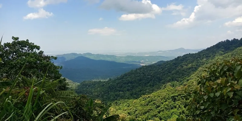 Trải nghiệm làng Sương Mù dưới chân Núi U Bò