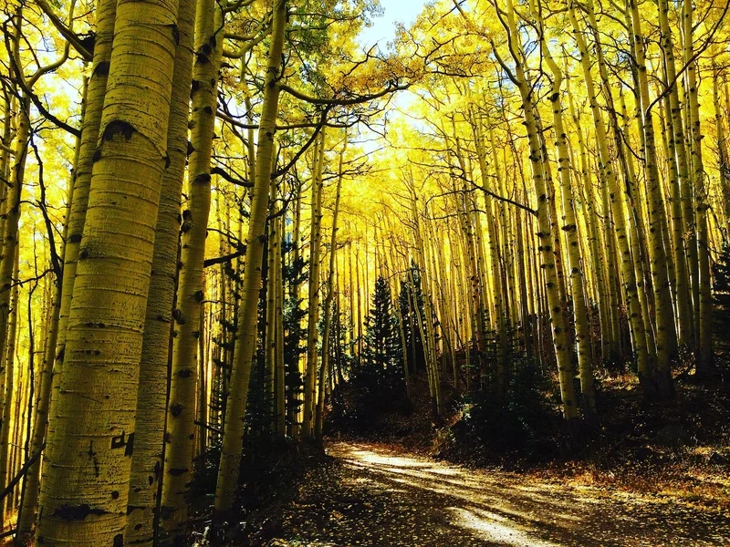 Học cách gọi bắc mỹ tiếng anh là gì chính xác