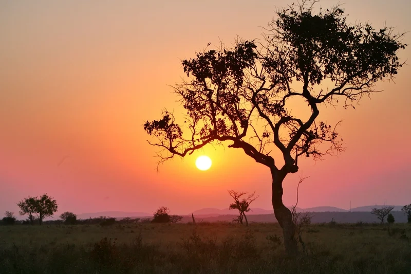 Lưu giữ kỷ niệm với ảnh phong cảnh châu phi tuyệt đẹp