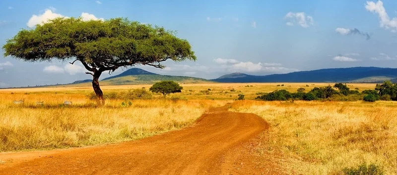 Trải nghiệm những những cảnh đẹp ở châu phi khó quên