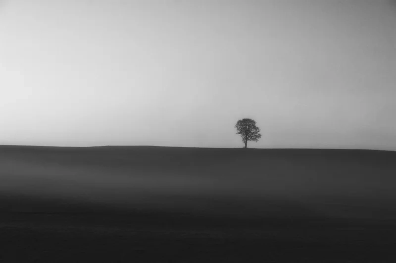 Thưởng thức vẻ đẹp trầm mặc của phong cảnh buồn cô đơn