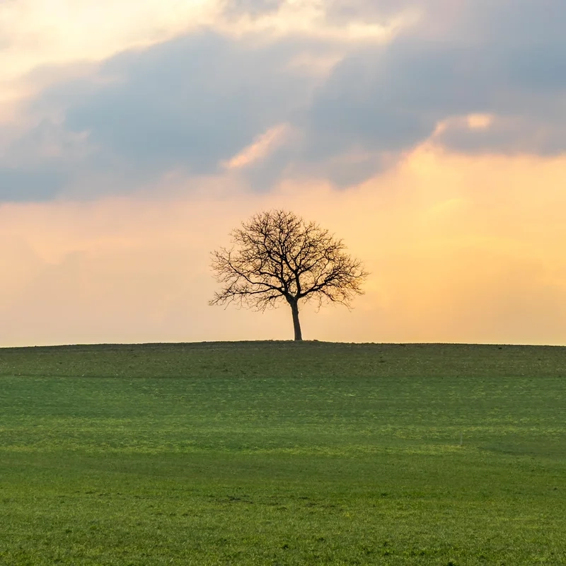 Lưu lại khoảnh khắc với ảnh phong cảnh cô đơn
