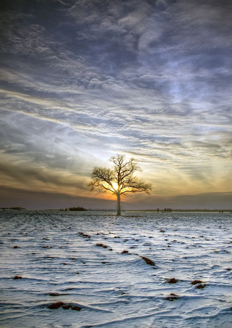 Thưởng ngoạn hình ảnh phong cảnh cô đơn trong từng chi tiết