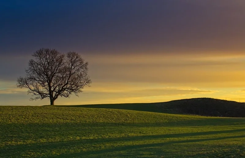 Cảm nhận cảm xúc qua tranh phong cảnh cô đơn